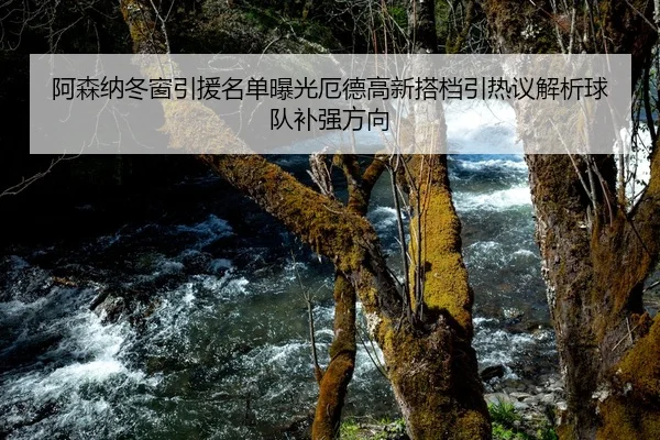 阿森纳冬窗引援名单曝光厄德高新搭档引热议解析球队补强方向